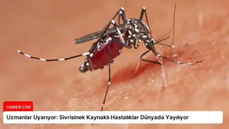 Uzmanlar Uyarıyor: Sivrisinek Kaynaklı Hastalıklar Dünyada Yayılıyor