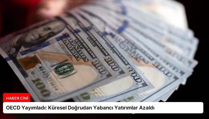 OECD Yayımladı: Küresel Doğrudan Yabancı Yatırımlar Azaldı
