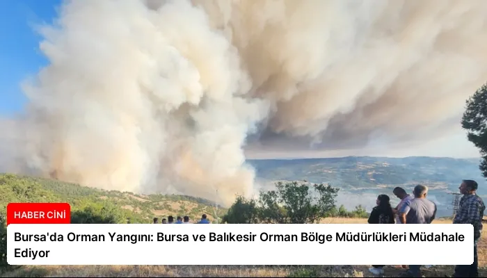 Bursa’da Orman Yangını: Bursa ve Balıkesir Orman Bölge Müdürlükleri Müdahale Ediyor