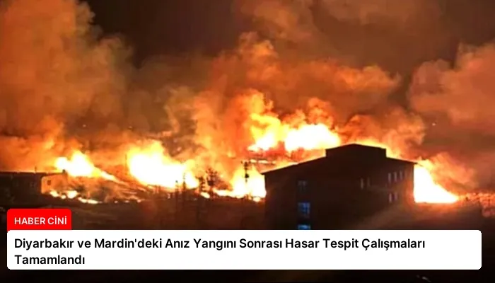 Diyarbakır ve Mardin’deki Anız Yangını Sonrası Hasar Tespit Çalışmaları Tamamlandı