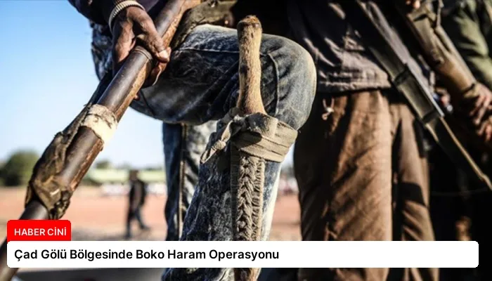 Çad Gölü Bölgesinde Boko Haram Operasyonu