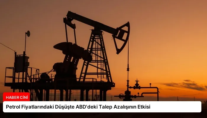 Petrol Fiyatlarındaki Düşüşte ABD’deki Talep Azalışının Etkisi