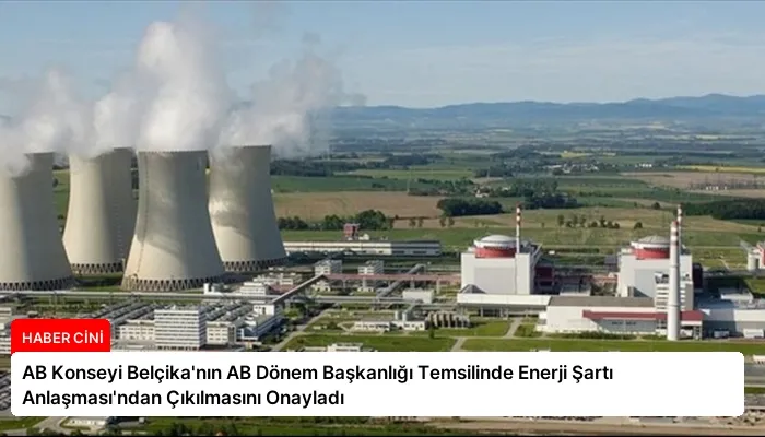 AB Konseyi Belçika’nın AB Dönem Başkanlığı Temsilinde Enerji Şartı Anlaşması’ndan Çıkılmasını Onayladı