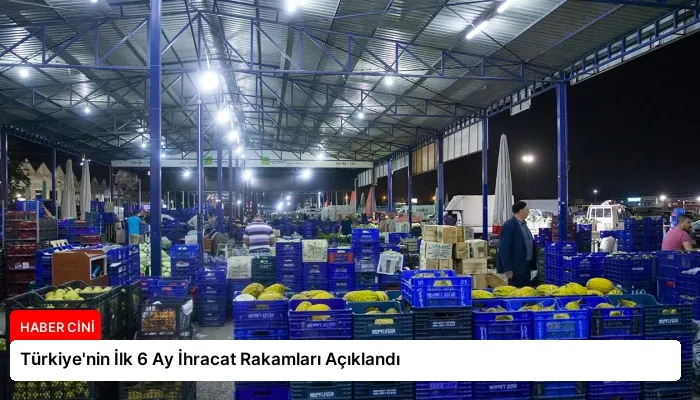 Türkiye’nin İlk 6 Ay İhracat Rakamları Açıklandı