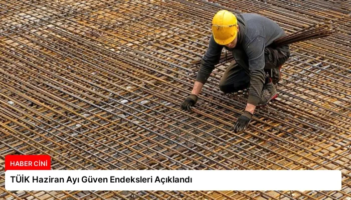 TÜİK Haziran Ayı Güven Endeksleri Açıklandı