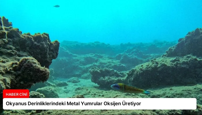 Okyanus Derinliklerindeki Metal Yumrular Oksijen Üretiyor