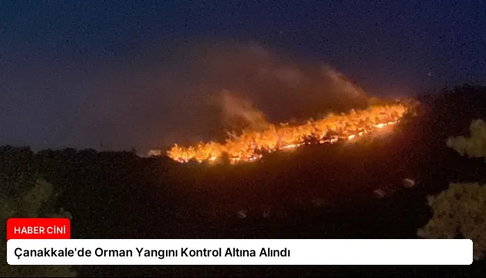 Çanakkale’de Orman Yangını Kontrol Altına Alındı