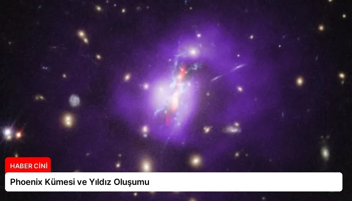 Phoenix Kümesi ve Yıldız Oluşumu