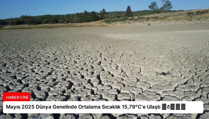 Mayıs 2025 Dünya Genelinde Ortalama Sıcaklık 15,79°C’e Ulaştı ⏬👇