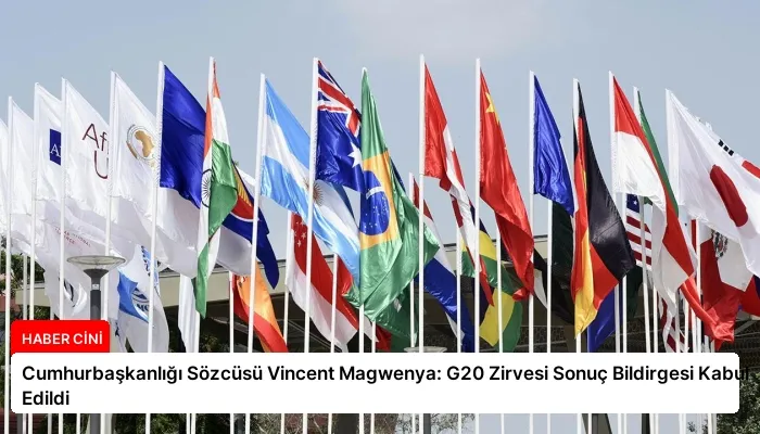 Cumhurbaşkanlığı Sözcüsü Vincent Magwenya: G20 Zirvesi Sonuç Bildirgesi Kabul Edildi