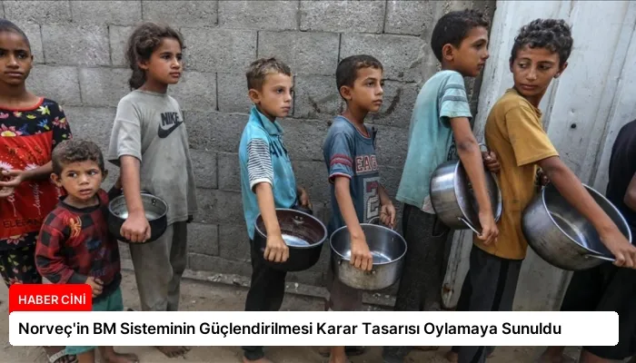 Norveç’in BM Sisteminin Güçlendirilmesi Karar Tasarısı Oylamaya Sunuldu