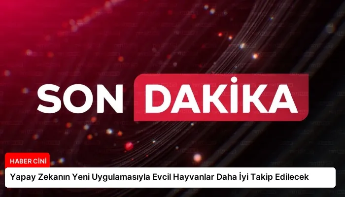 Yapay Zekanın Yeni Uygulamasıyla Evcil Hayvanlar Daha İyi Takip Edilecek