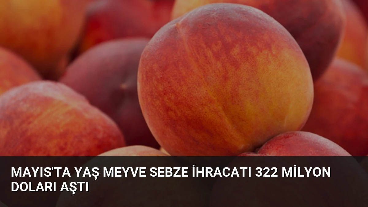 Mayıs’ta Yaş Meyve Sebze İhracatı 322 Milyon Doları Aştı