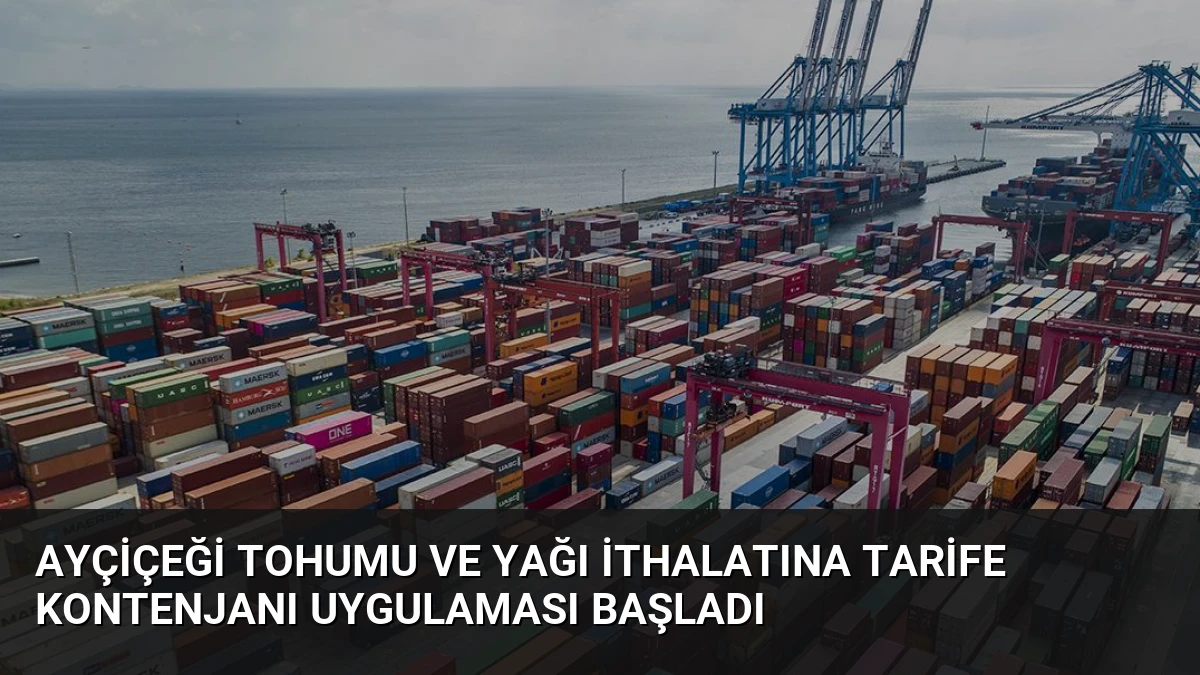 Ayçiçeği Tohumu ve Yağı İthalatına Tarife Kontenjanı Uygulaması Başladı