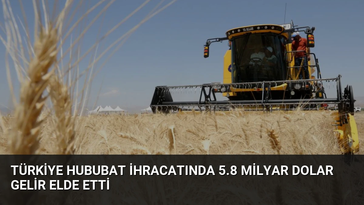 Türkiye Hububat İhracatında 5.8 Milyar Dolar Gelir Elde Etti
