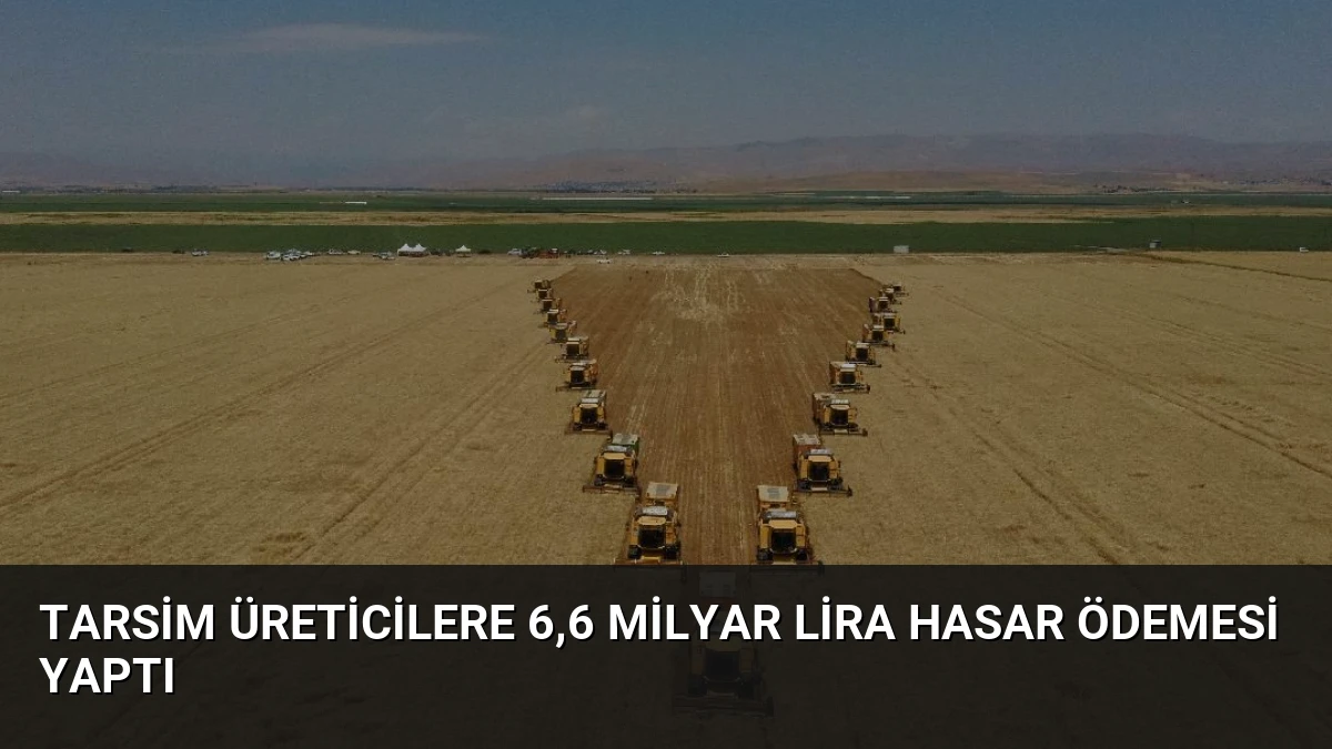 TARSİM Üreticilere 6,6 Milyar Lira Hasar Ödemesi Yaptı