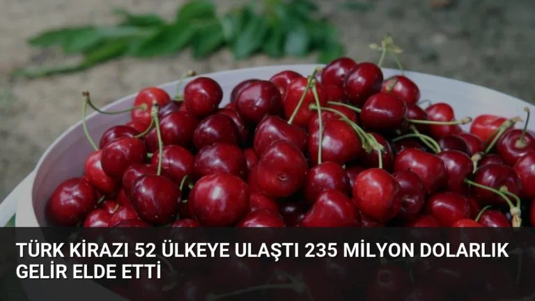 Türk Kirazı 52 Ülkeye Ulaştı 235 Milyon Dolarlık Gelir Elde Etti