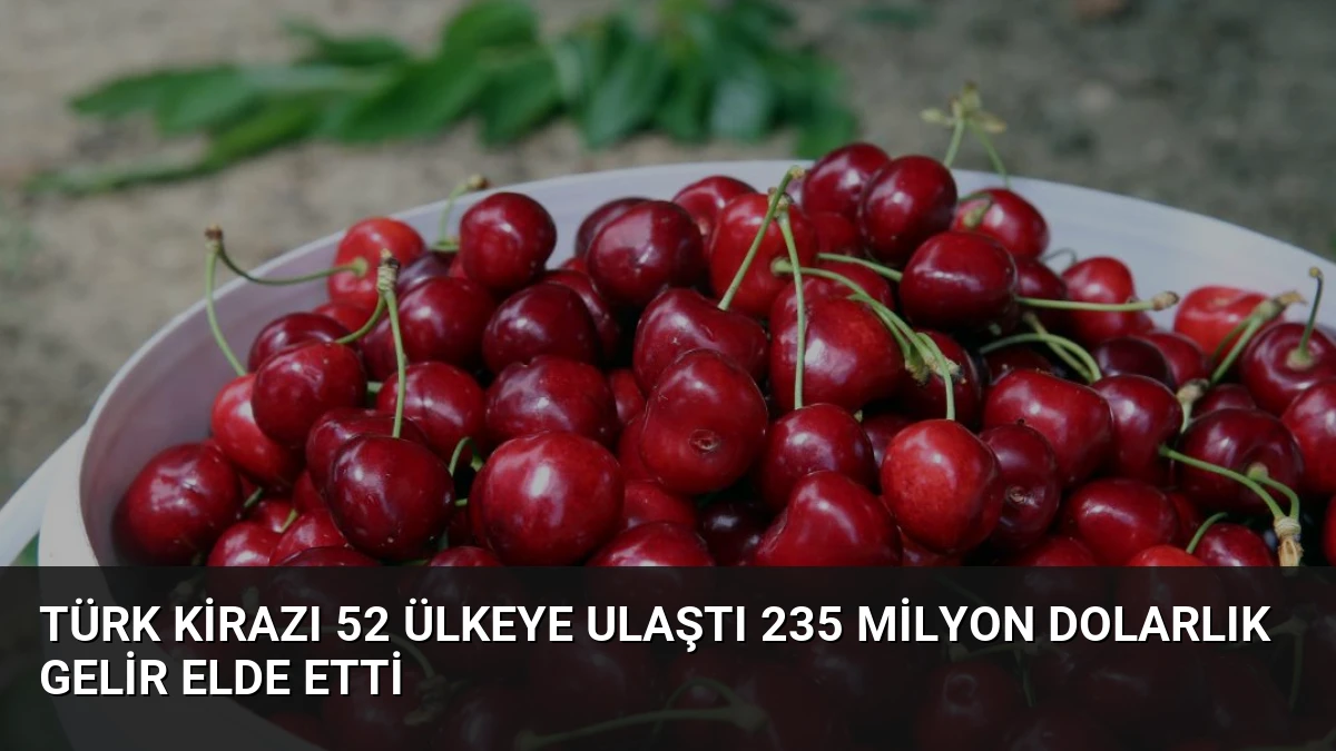 Türk Kirazı 52 Ülkeye Ulaştı 235 Milyon Dolarlık Gelir Elde Etti