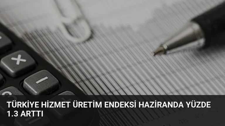 Türkiye Hizmet Üretim Endeksi Haziranda Yüzde 1.3 Arttı