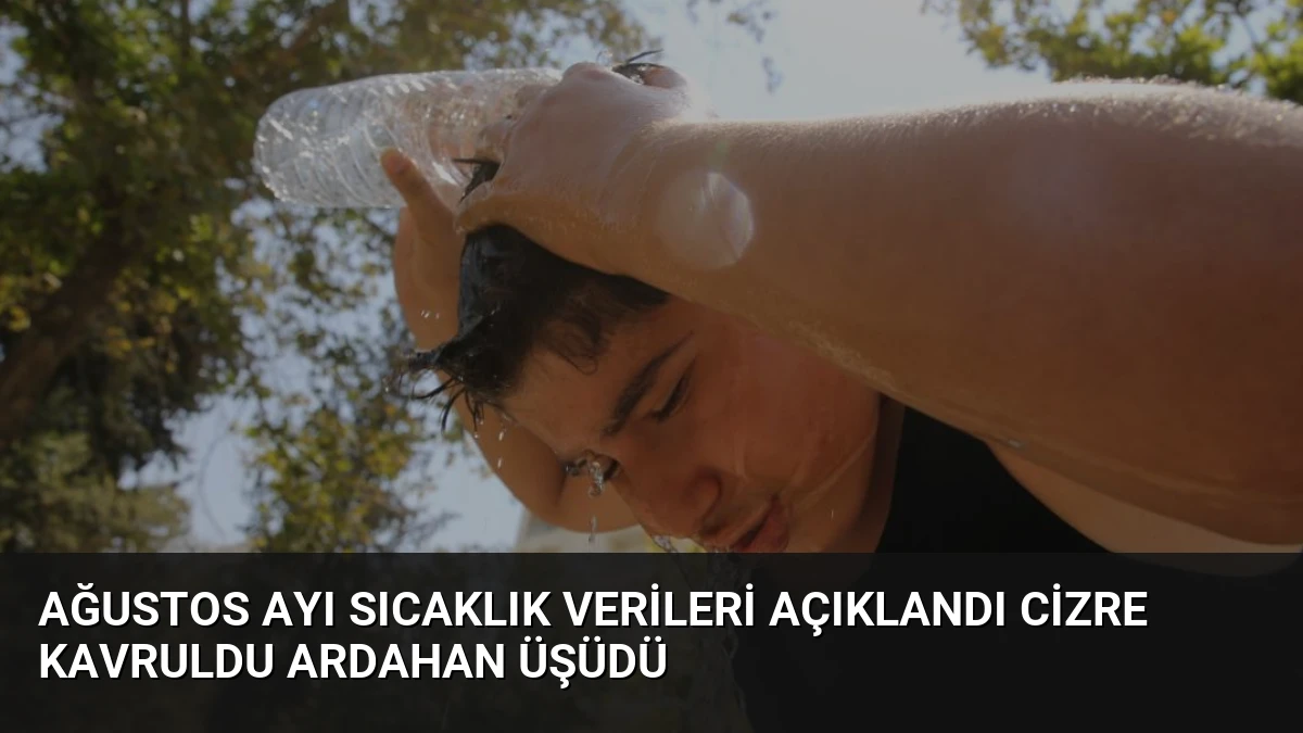 Ağustos Ayı Sıcaklık Verileri Açıklandı Cizre Kavruldu Ardahan Üşüdü