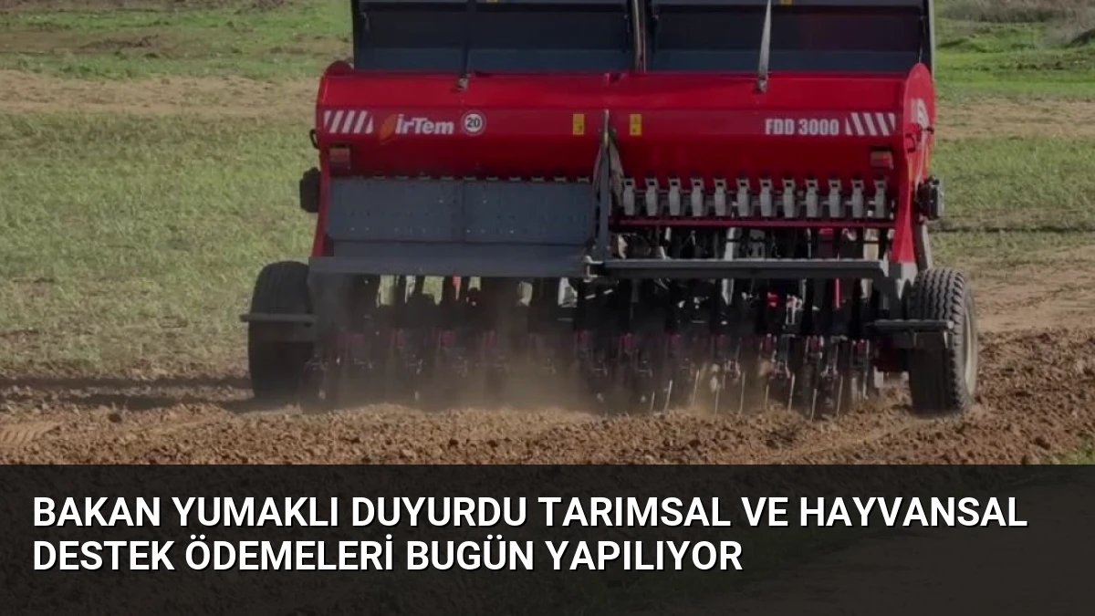Bakan Yumaklı Duyurdu Tarımsal ve Hayvansal Destek Ödemeleri Bugün Yapılıyor