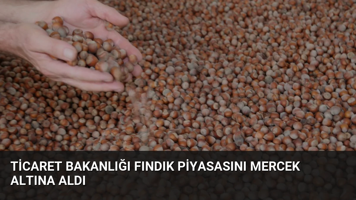Ticaret Bakanlığı Fındık Piyasasını Mercek Altına Aldı