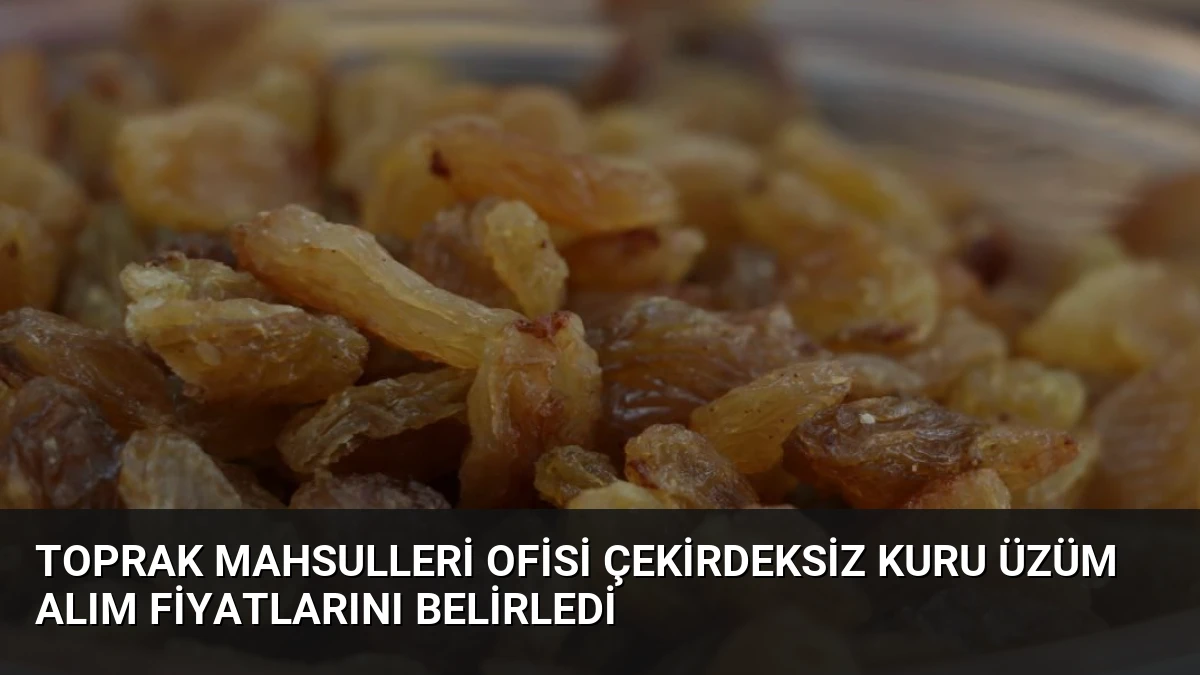 Toprak Mahsulleri Ofisi Çekirdeksiz Kuru Üzüm Alım Fiyatlarını Belirledi