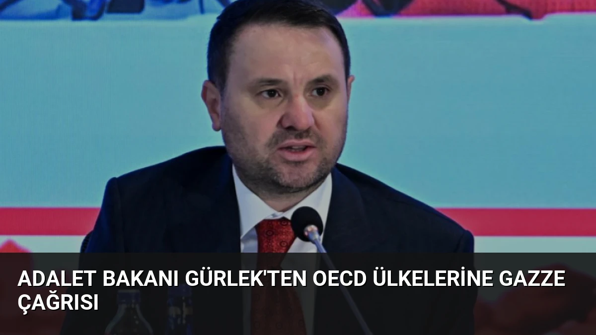 Adalet Bakanı Gürlek’ten OECD Ülkelerine Gazze Çağrısı