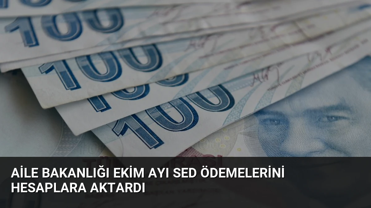 Aile Bakanlığı Ekim Ayı SED Ödemelerini Hesaplara Aktardı