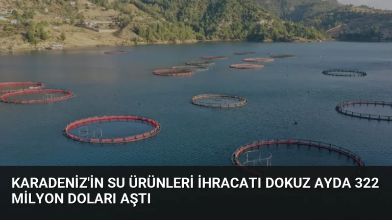 Karadeniz’in Su Ürünleri İhracatı Dokuz Ayda 322 Milyon Doları Aştı