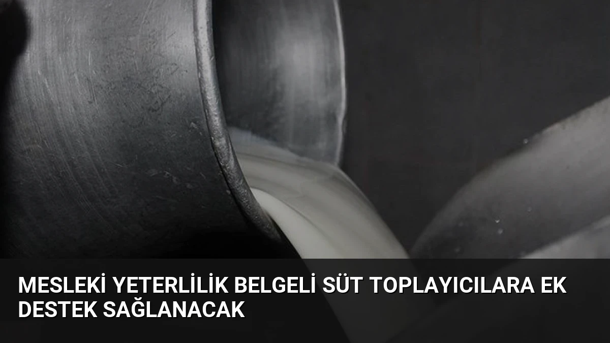 Mesleki Yeterlilik Belgeli Süt Toplayıcılara Ek Destek Sağlanacak