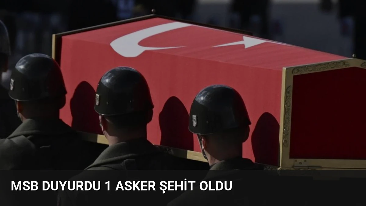 MSB Duyurdu 1 Asker Şehit Oldu